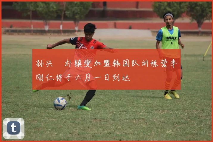 孙兴慜朴镇燮加盟韩国队训练营李刚仁将于六月一日到达