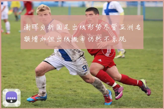 谢晖分析国足出线形势尽管亚洲名额增加但出线概率仍然不乐观